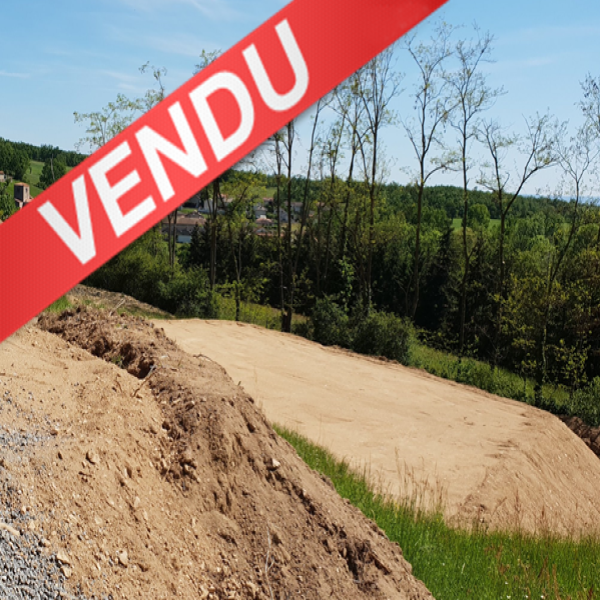 Offres de vente Terrain Salt-en-Donzy 42110
