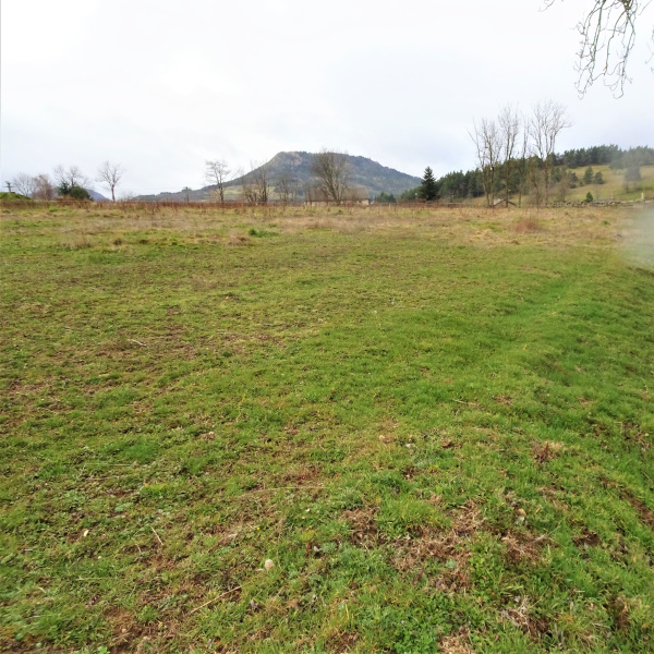 Offres de vente Terrain Yssingeaux 43200