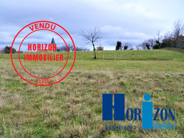 Vente Terrain à Lézigneux (42600) - Horizon Immobilier